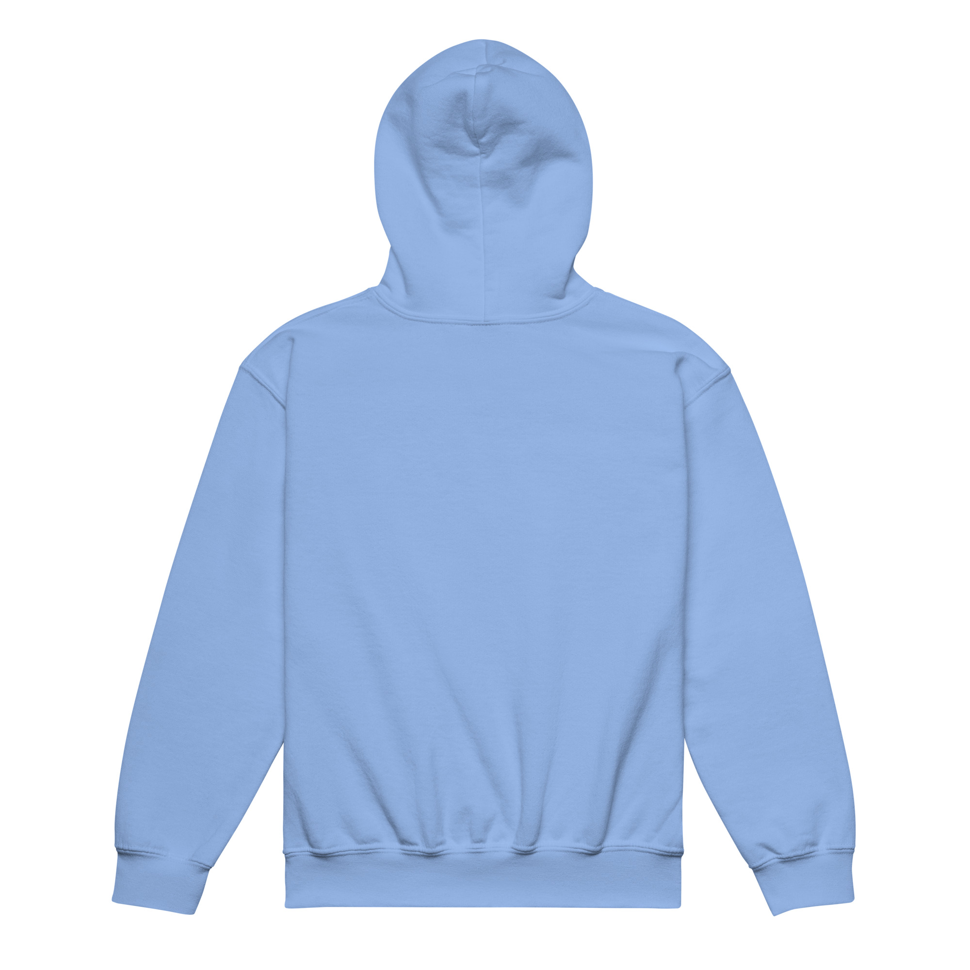 Graphic-Series-47 Youth heavy blend hoodie - Image 16