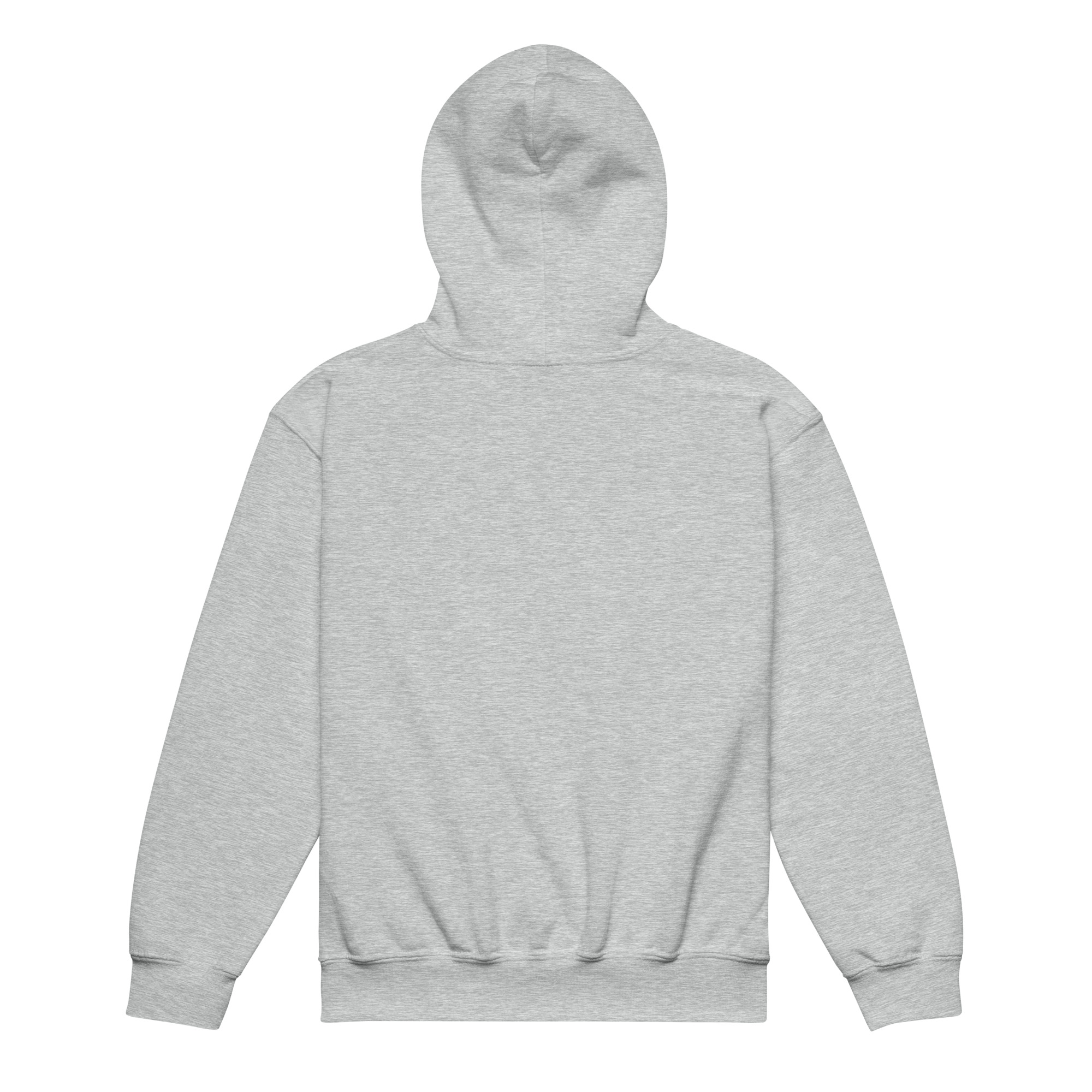 Graphic-Series-47 Youth heavy blend hoodie - Image 20