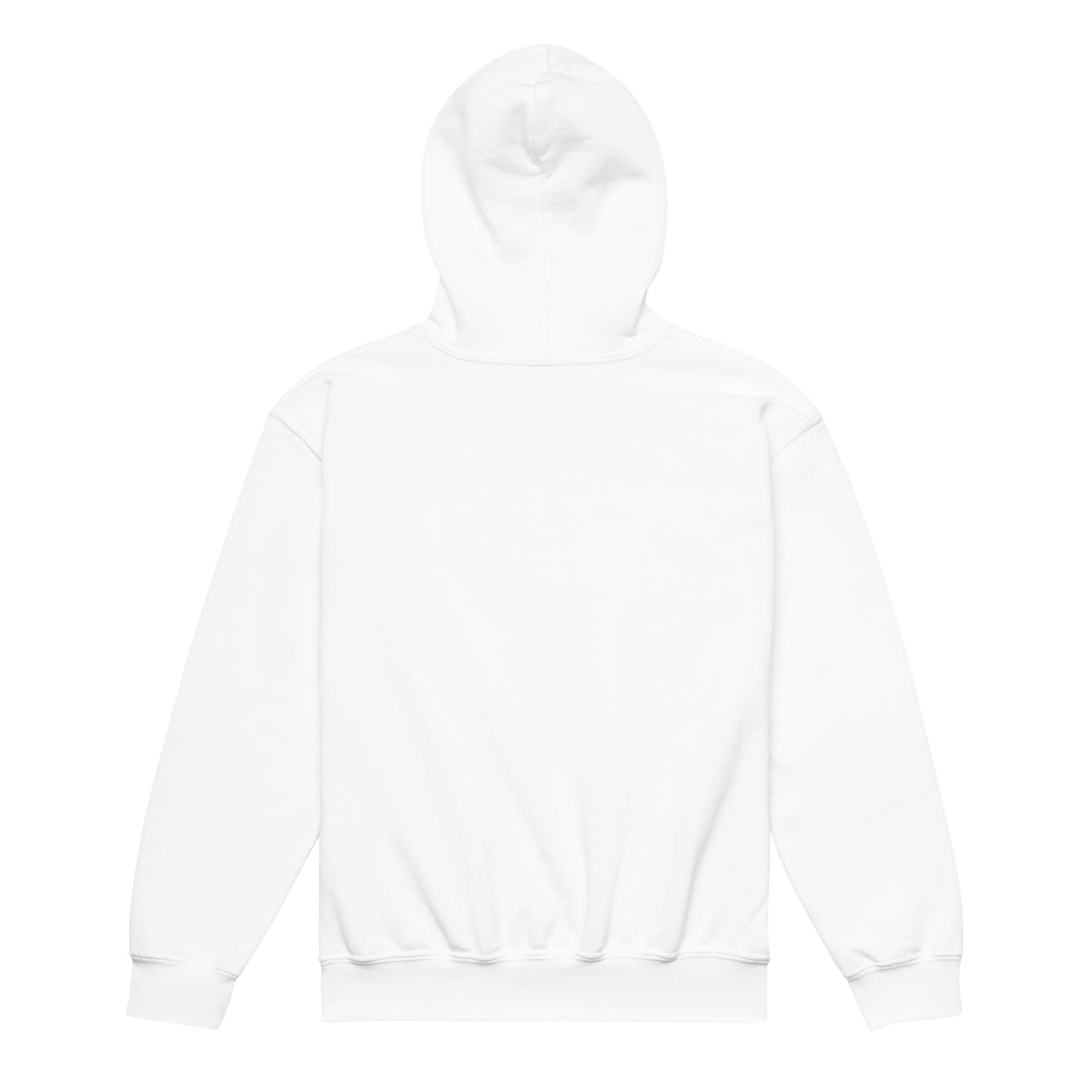 Graphic-Series-47 Youth heavy blend hoodie - Image 21